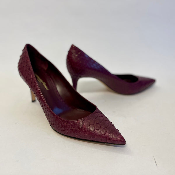 D Red Snake Gianvito Rossi Pumps