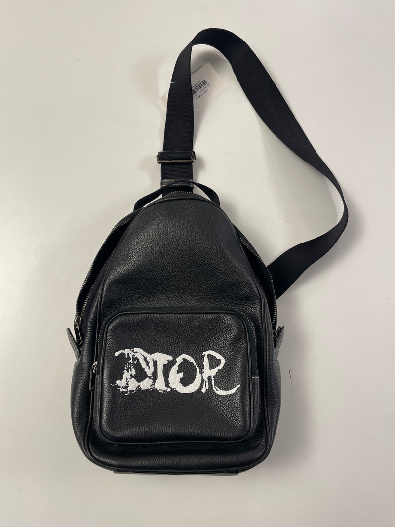 Dior Rider Sling Bag by Peter Doig